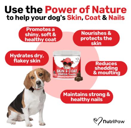 NutriPaw Skin & Coat Omega Treats 120 Chews - Image 3