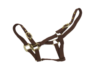 NYLON HEADCOLLAR FOAL BROWN