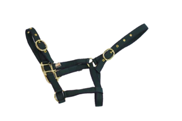 NYLON HEADCOLLAR FOAL NAVY/GREEN