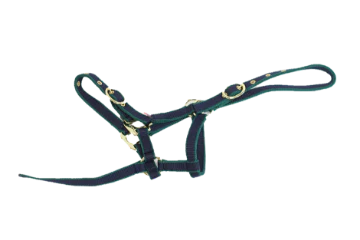 NYLON HEADCOLLAR SUCKLING NAVY/GREEN