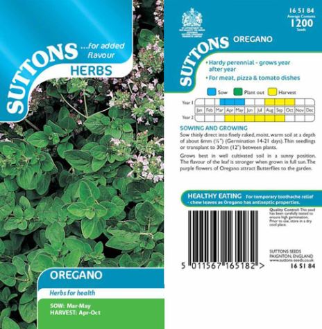 Oregano - Herb Seeds - Image 2