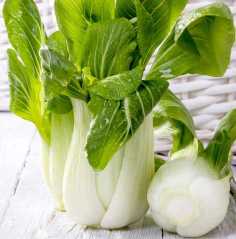 Pak Choi 'Crunchy Colour Mix' - Seeds - Image 3