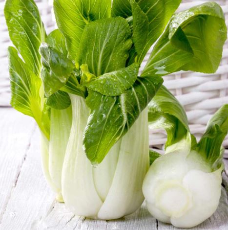 Pak Choi F1 'Hanakan' - Seeds