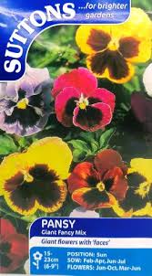 Pansy Giant Fancy Mix Flower Seeds - Image 2