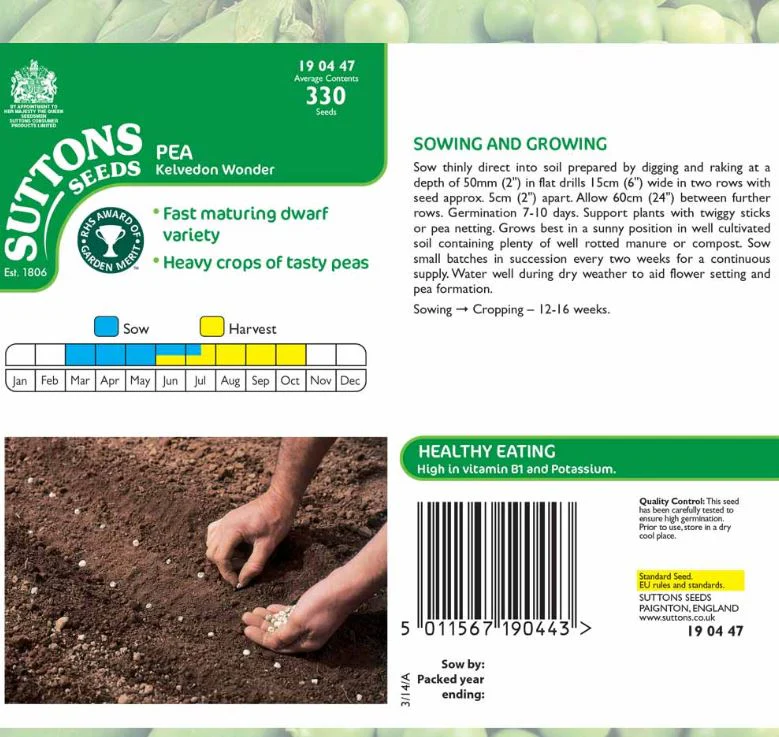 Pea 'Kelvedon Wonder' - Seeds - Image 4