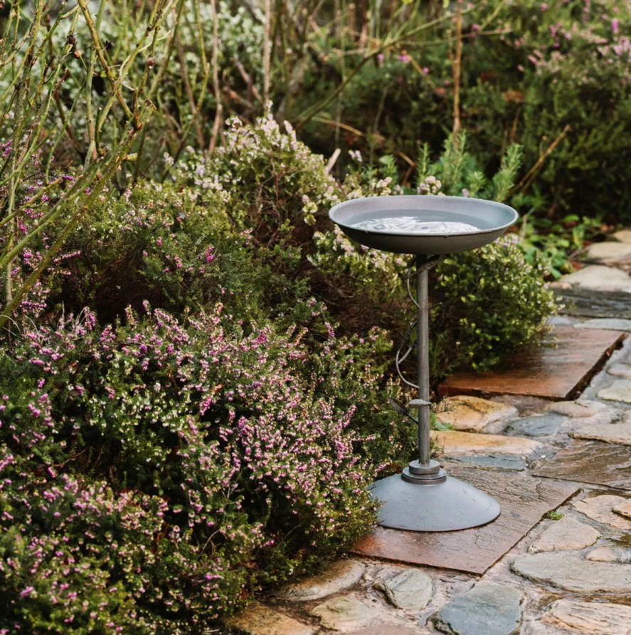Peckish Secret Garden Bird Bath - Image 2