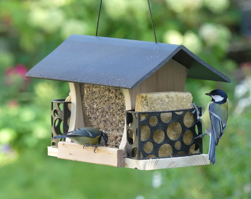 Peckish Woodland Feast Multi Feeder - Image 2