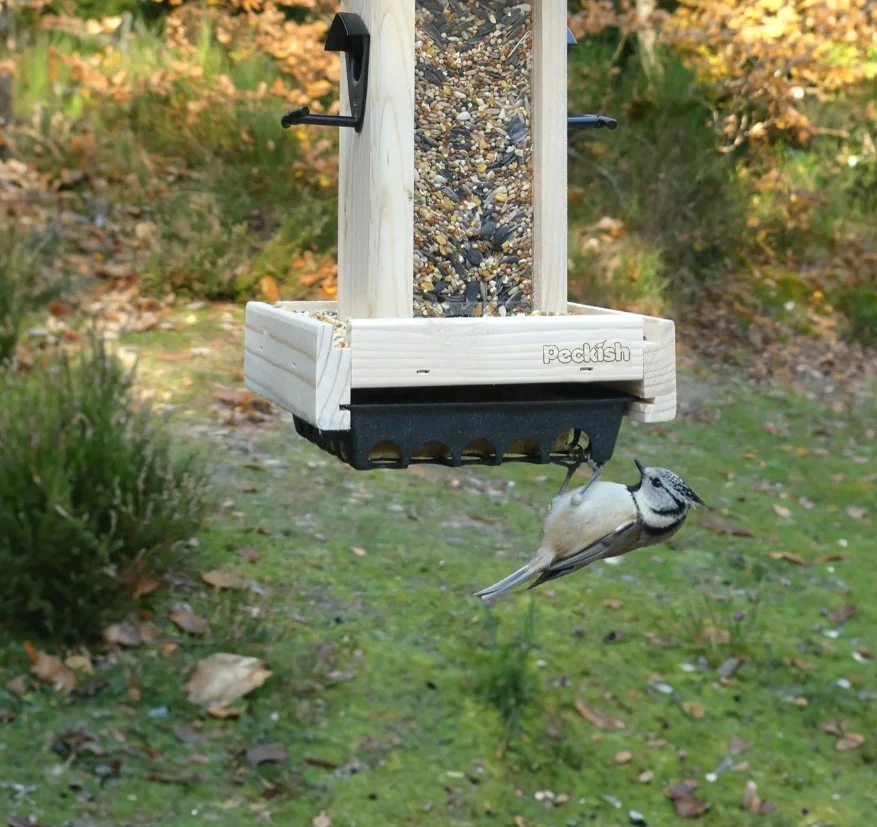 Peckish Woodland Feast Seed & Suet Cake Tower Bird Feeder - Image 2