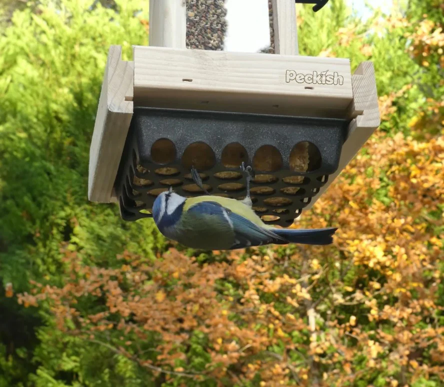 Peckish Woodland Feast Seed & Suet Cake Tower Bird Feeder - Image 3