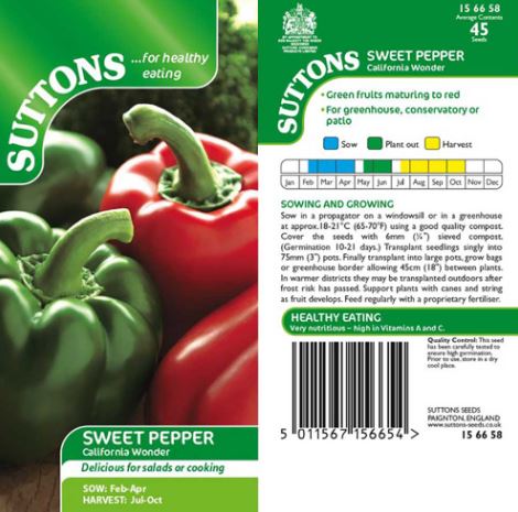Pepper Sweet 'Californian Wonder' - Seeds - Image 3
