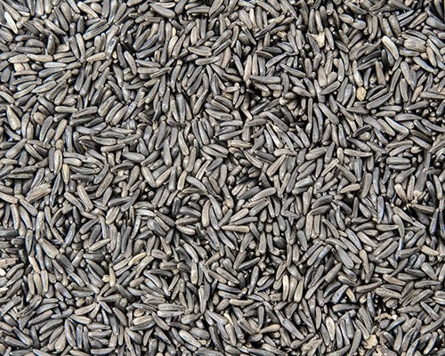Nyger Seed