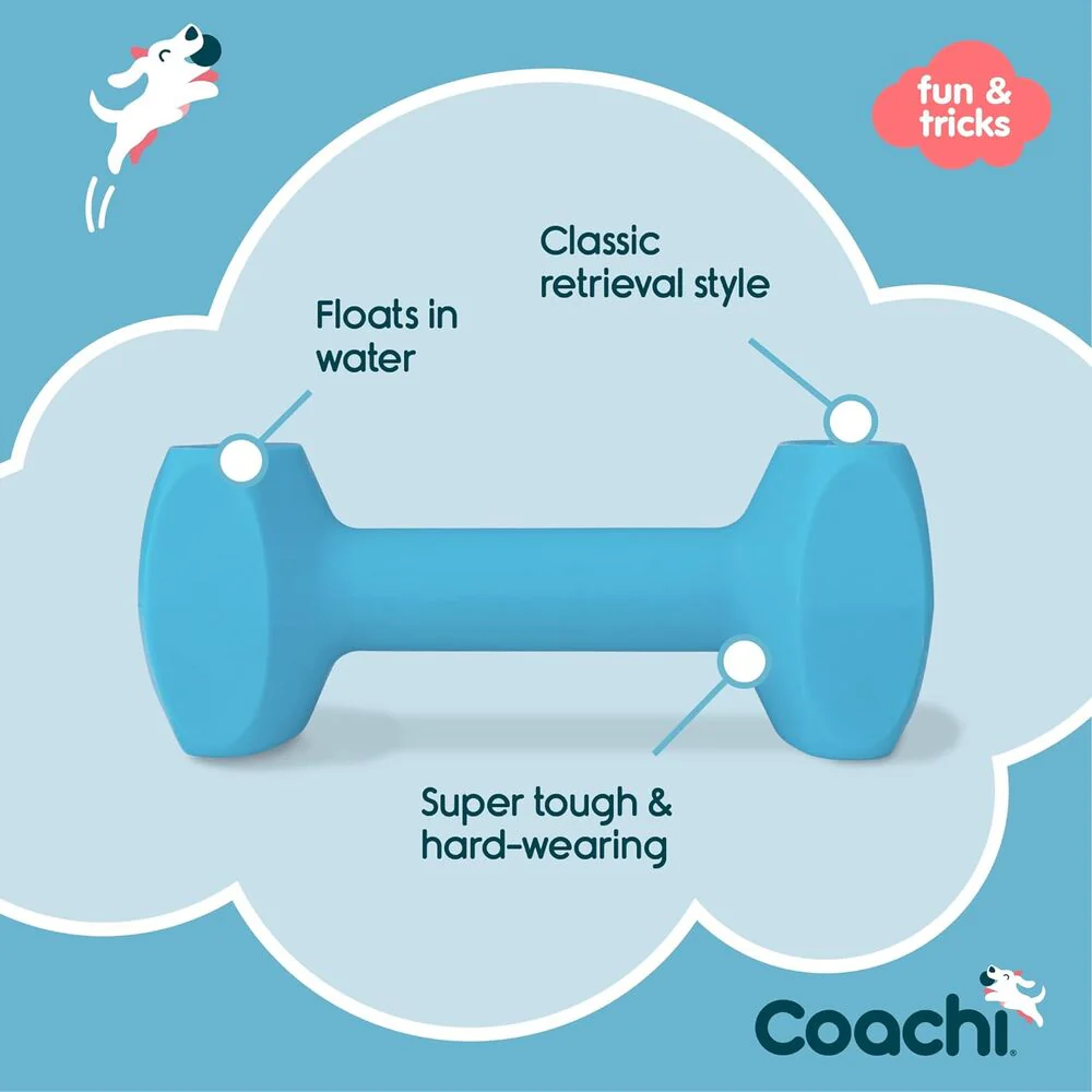 Coachi Training Dumbbell - Light Blue Large - Image 2