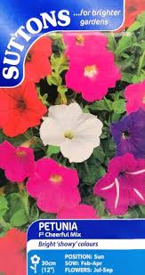 Petunia F2 Cheerful Mix Flower Seeds - Image 2