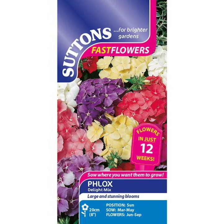 Phlox Delight Mix Flower Seeds - Image 2