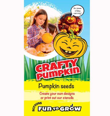 Pumpkin 'Crafty Pumpkin (Hundredweight)' - Seeds