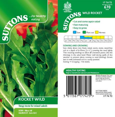 Rocket 'Wild' - Seeds - Image 4