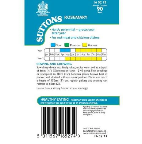 Rosemary - Herb Seeds - Image 5