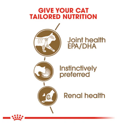 Royal Canin Ageing (12+) Jelly Pouch, 85g x 12 - Image 2