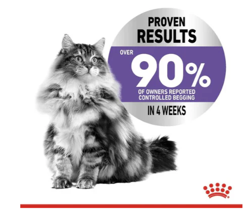 Royal Canin Appetite Control Care Cat 2kg - Image 2