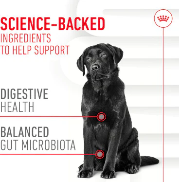 Royal Canin Digestion Supplement for Adult Dog 160g - Image 2