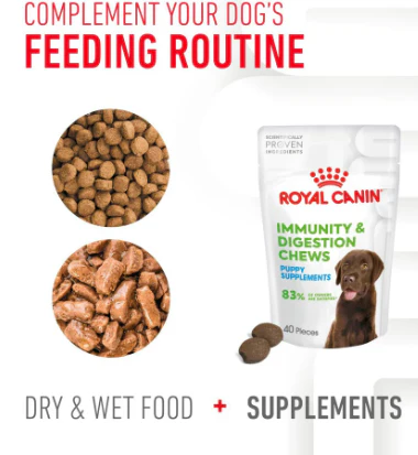 Royal Canin Digestion Supplement - Puppy 100g - Image 2