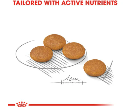 Royal Canin Mini Dermacomfort  3kg - Image 3