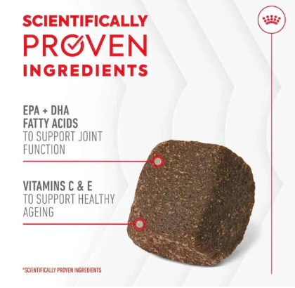 Royal Canin Joint & Ageing Supplement - Image 3