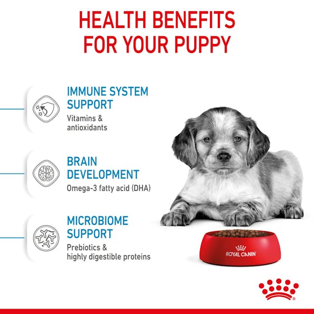Royal Canin Medium Puppy 15 kg - Image 2