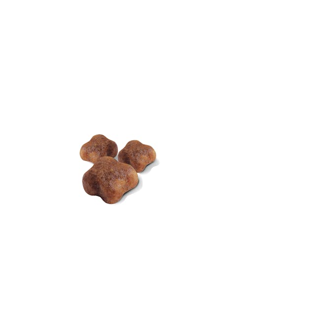 Royal Canin Mother & Babycat - Image 2
