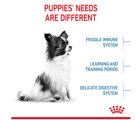 Royal Canin X-Small Puppy  1.5kg - Image 2