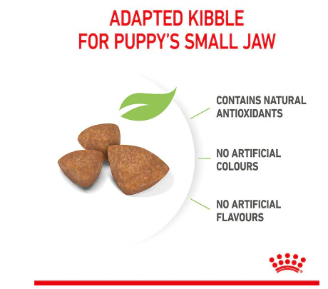 Royal Canin X-Small Puppy  1.5kg - Image 4