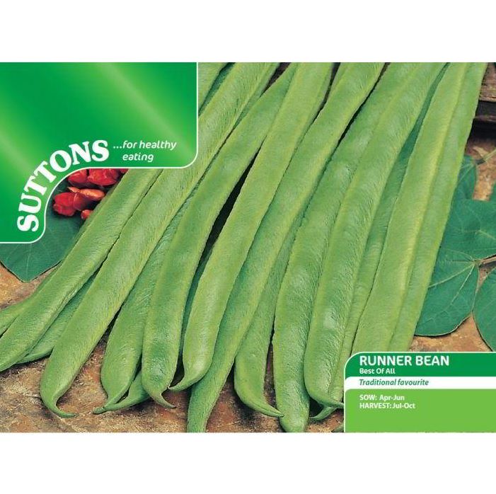 Runner Bean 'Best Of All' - Seeds - Image 3