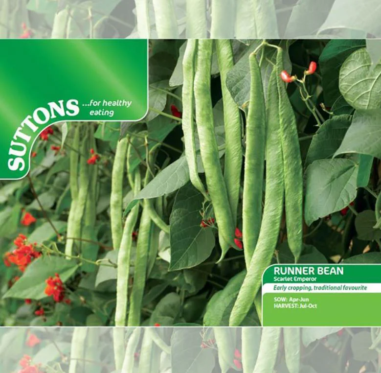 Runner Bean 'Scarlet Emperor' - Seeds