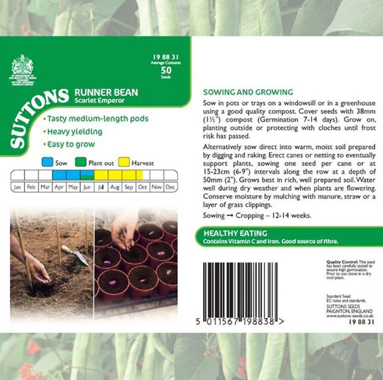Runner Bean 'Scarlet Emperor' - Seeds - Image 7