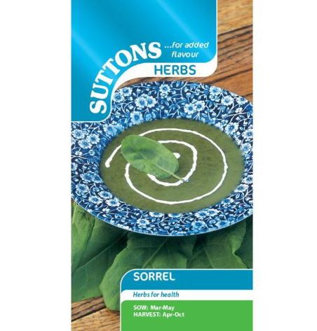 Sorrel - Herb Seeds - Image 3