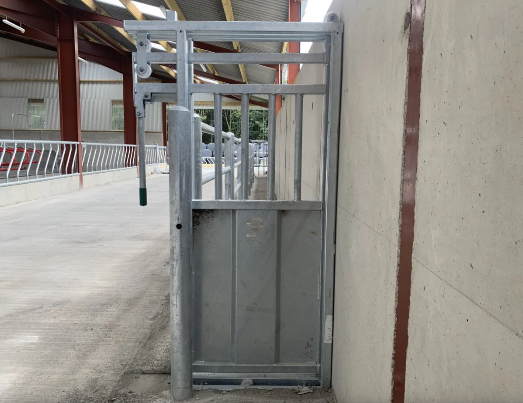 Crush Sliding Back Gate - Image 2