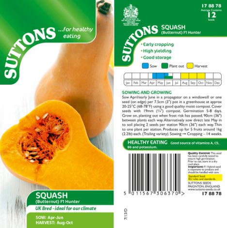 Squash F1 'Hunter' - Seeds - Image 3