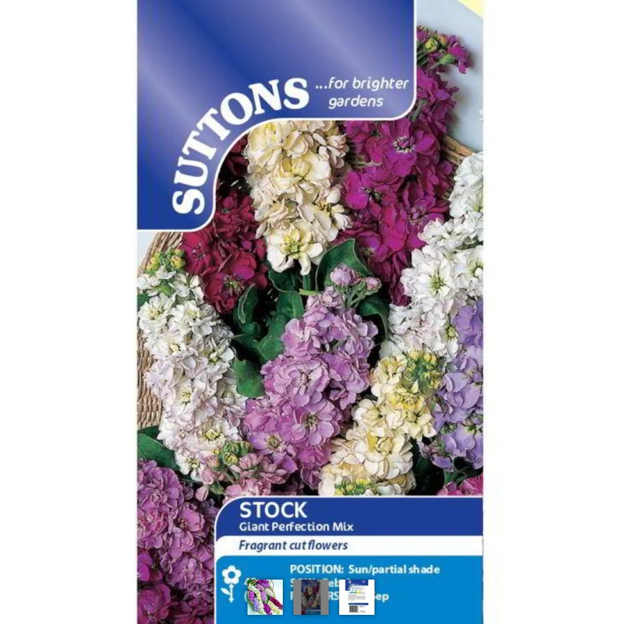 Stock Giant Perfection Mix Flower Seeds - Image 2