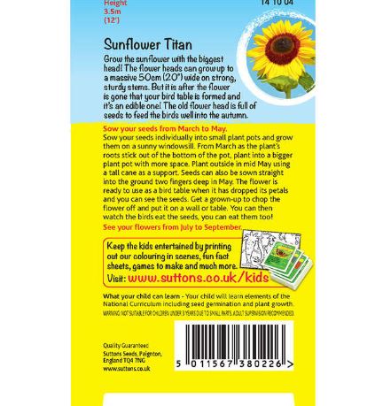 Sunflower 'Bird Table Flower (Titan)' - Seeds - Image 2