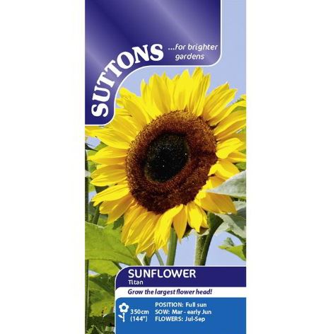 Sunflower 'Titan' - Seeds - Image 3