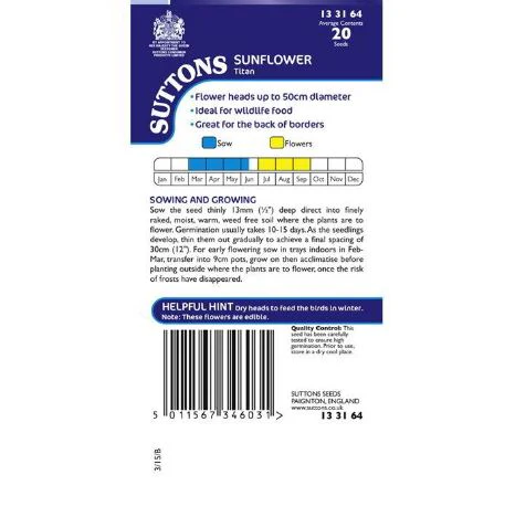 Sunflower 'Titan' - Seeds - Image 4