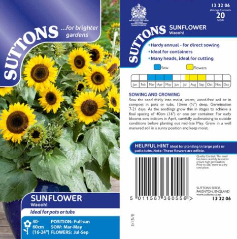 Sunflower 'Waooh!' - Seeds - Image 3