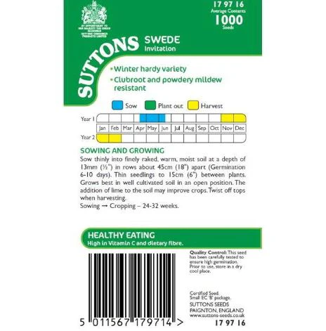 Swede 'Invitation' - Seeds - Image 4