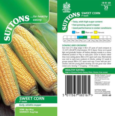 Sweet Corn F1 'Swift' - Seeds - Image 3