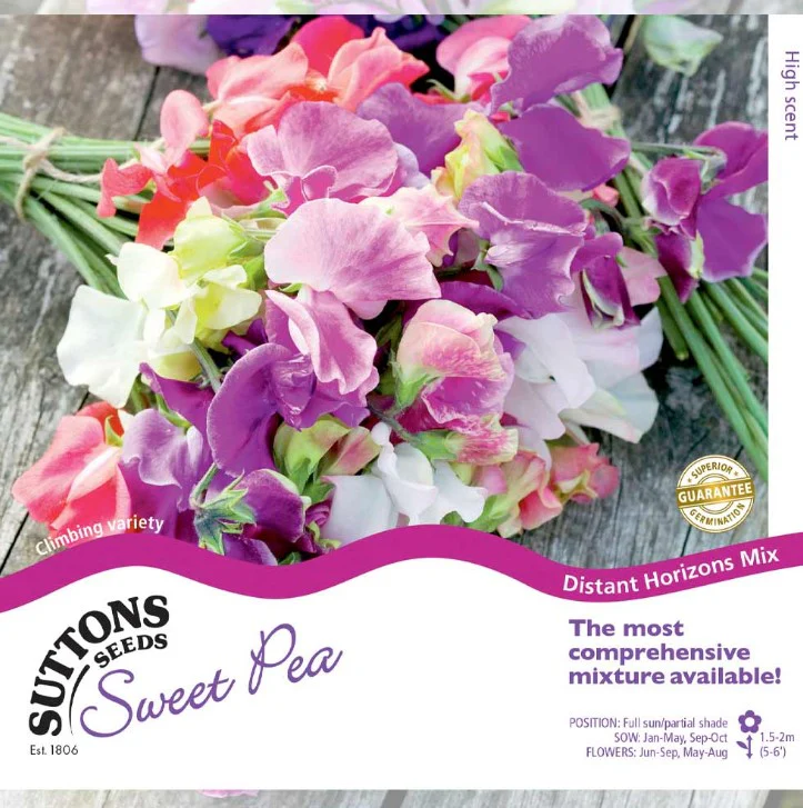 Sweet Pea Distant Horizons Mix Flower Seeds - Image 2