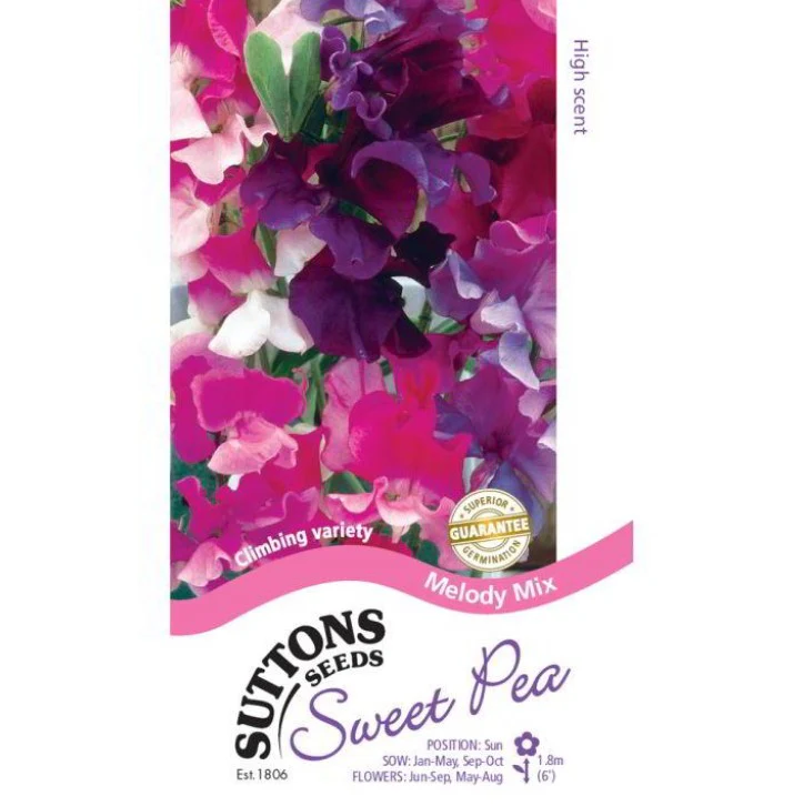 Sweet Pea Melody Mix Flower Seeds - Image 2