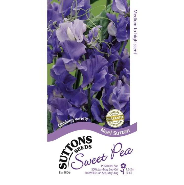 Sweet Pea Noel Sutton Mix Flower Seeds - Image 2