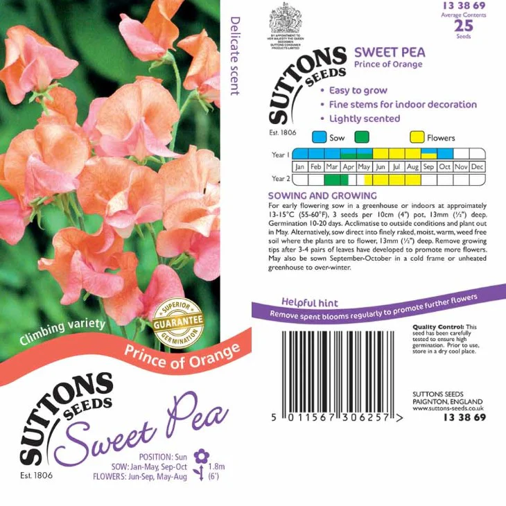 Sweet Pea Prince of Orange Flower Seeds - Image 2