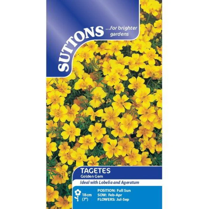 Tagetes Golden Gem Flower Seeds - Image 2