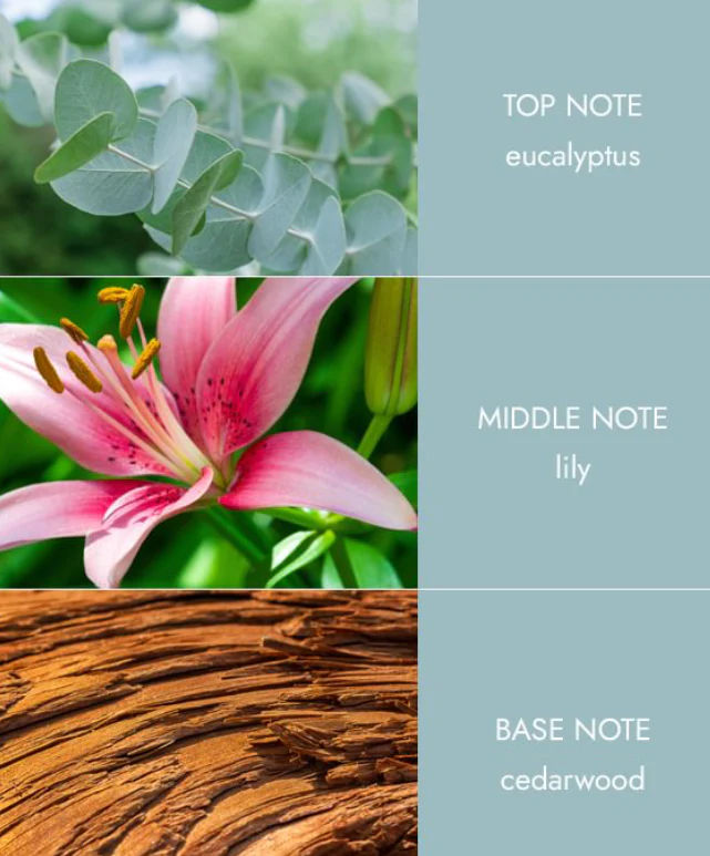 Tin Candle - Botanical Breeze - Image 3